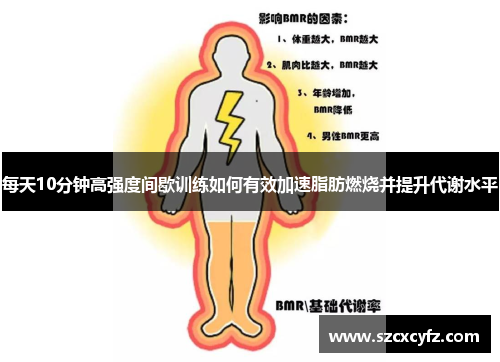 每天10分钟高强度间歇训练如何有效加速脂肪燃烧并提升代谢水平