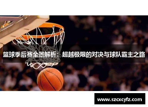 篮球季后赛全景解析：超越极限的对决与球队霸主之路